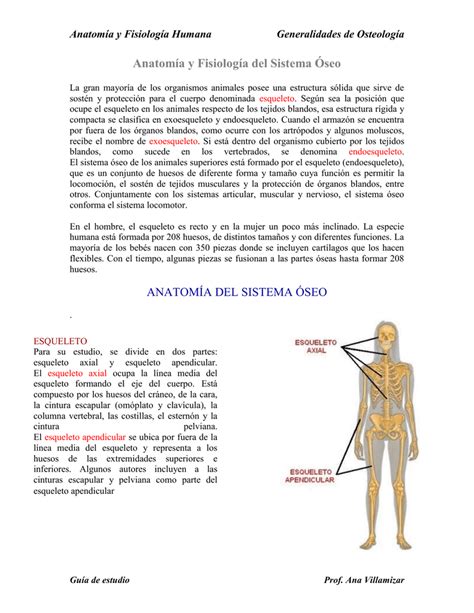 Anatomía y Fisiología del Sistema Óseo