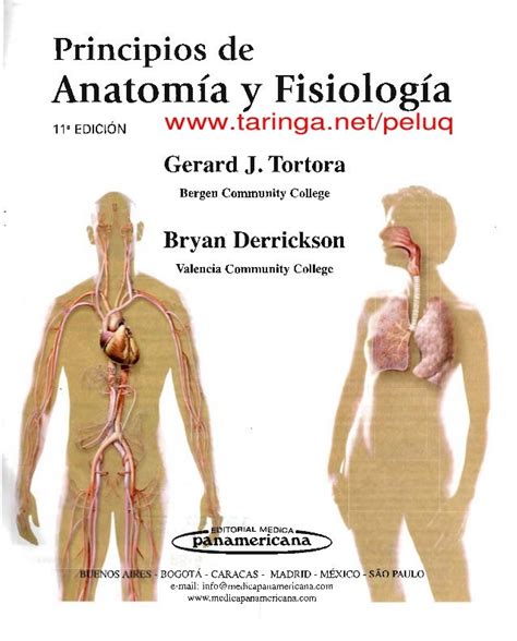 anatomia y fisiologia humana