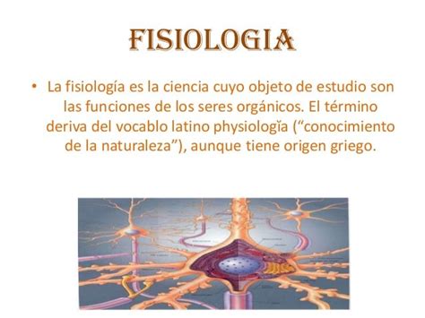 Anatomia y fisiologia