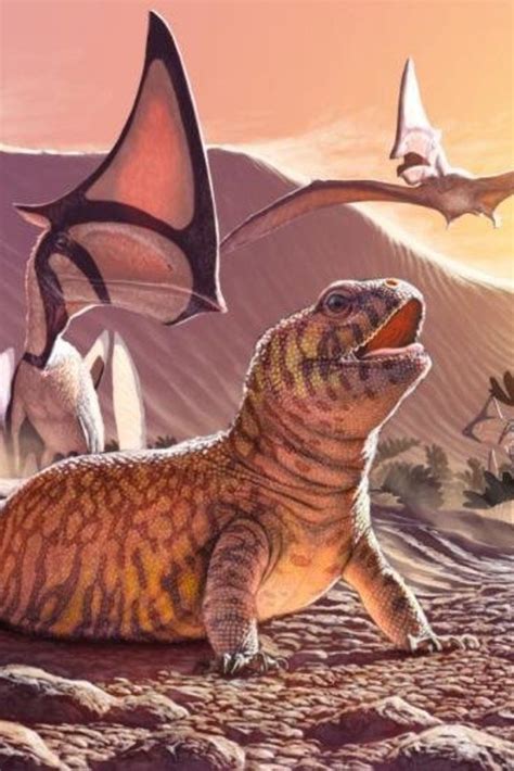 Ancient Lizard Species May Be Evolutionary  Missing Link  | Prehistoric ...