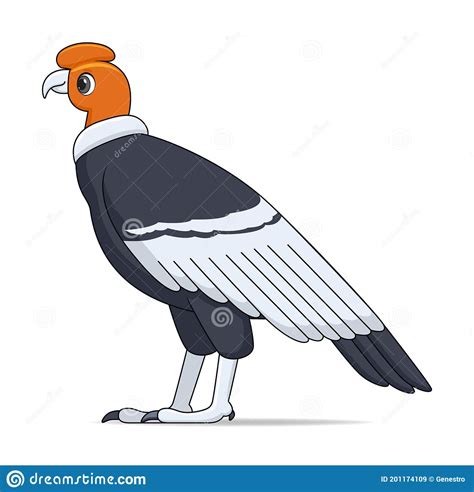 Andean Condor Isolated Stock Photo | CartoonDealer.com #61882314