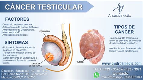 Androsmedic on Twitter:  #cancer #testicular #testiculos #revisate # ...