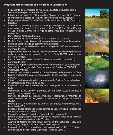 Anfibios, ecología y conservación: Proyectos en Biología ...