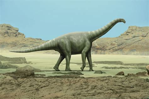 angelgloriamartapitu: El mayor dinosaurio del planeta