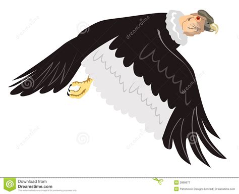 Animado Condor Chileno Dibujo : Condor Vulture Images Stock Photos ...
