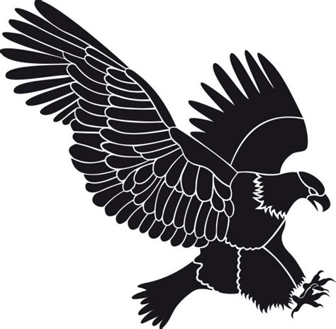 Animado Condor Chileno Dibujo : Condor Vulture Images Stock Photos ...
