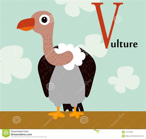 Animal Alphabet For The Kids: V For The Vulture Stock ...