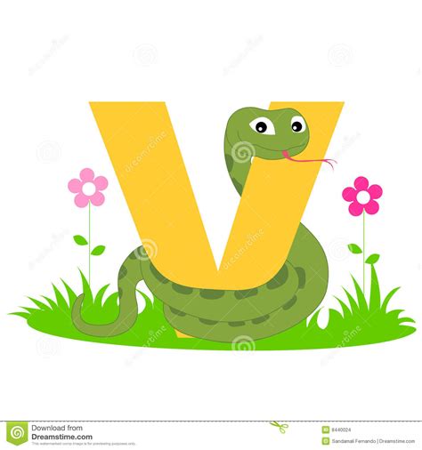 Animal alphabet V stock vector. Illustration of animal ...