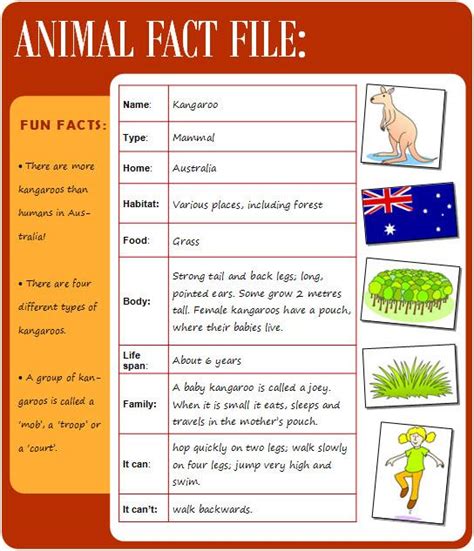 Animal fact file | LearnEnglish Kids | British Council