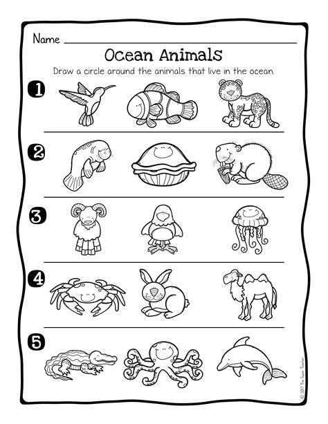 Animal Habitats Science Activity and Worksheets   The Super Teacher