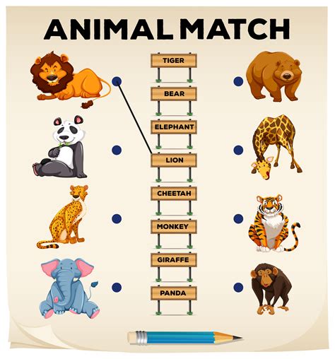 Animal matching with pictures and words 430653 Vector Art at Vecteezy