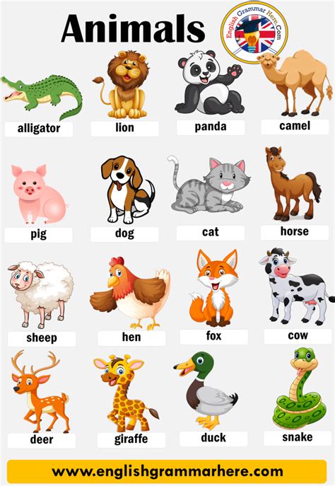 Animal Names, List and Type of Animals   English Grammar Here