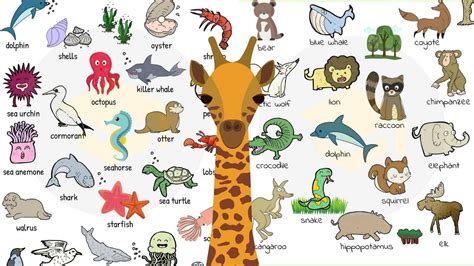 Animal Names: Types of Animals in English with Useful List ...