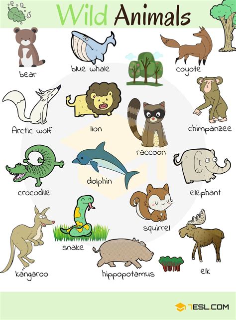 Animal Names | Types of Animals | List of Animals | Animal Pictures ...