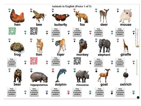 Animal Posters   English/ESL  54 animals, set of 3 posters ...