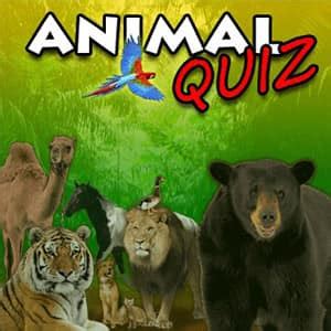 Animal Quiz   Jogo Grátis Online | FunnyGames