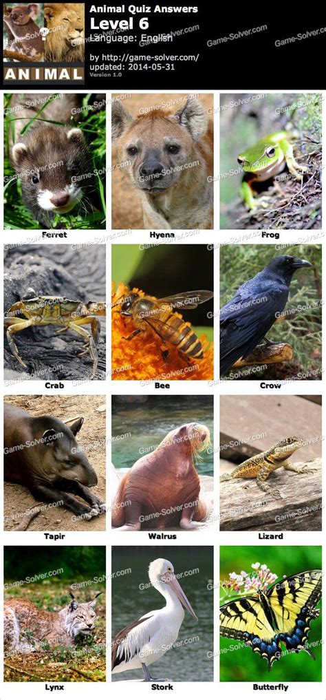 Animal Quiz Level 6 | Animal quiz, Animals, Zoo animals names
