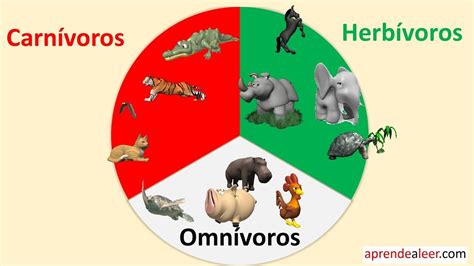 Animales carnivoros herbivoros y omnivoros para niños ...