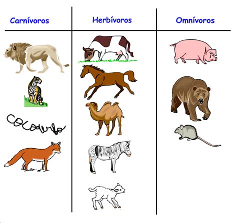 Animales Carnivoros Herbivoros Y Omnivoros Para Niños ...