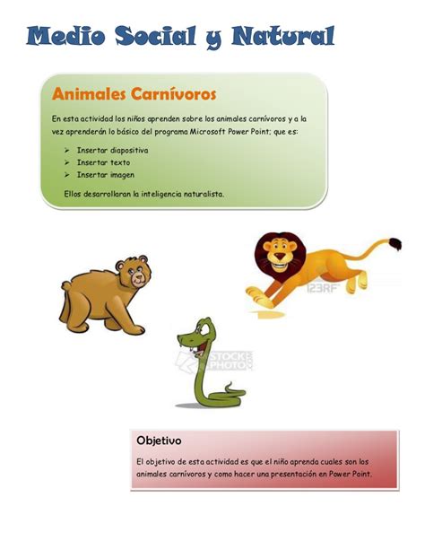 Animales carnivoros