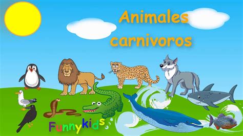 Animales carnívoros para niños.   YouTube