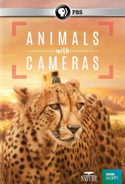 Animales con cámaras  Miniserie de TV   2018    FilmAffinity