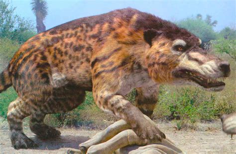Animales de la prehistoria extintos y vivos | Cinco Noticias
