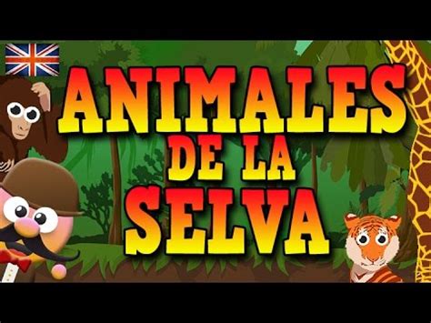 ANIMALES DE LA SELVA EN INGLÉS   APRENDE INGLÉS CON MR PEA ...