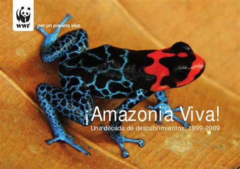 Animales Descubiertos en la Amazonia in 2019 | Vaupés ...