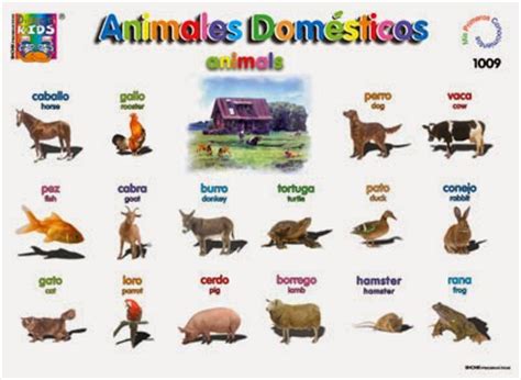Animales En Ingles Pictures to Pin on Pinterest   PinsDaddy
