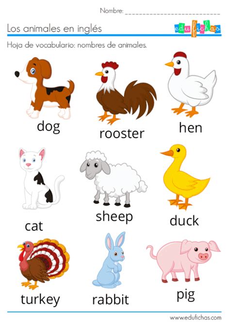 ANIMALES EN INGLÉS | Vocabulario + Ejercicios + Flashcards ...