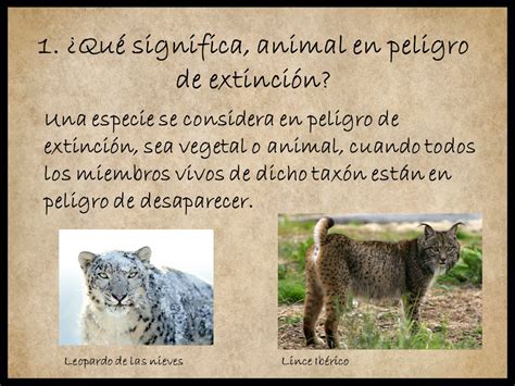 Animales en peligro de extinción en la Península Ibérica ...