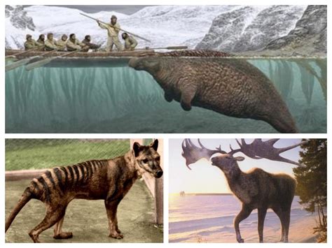 Animales extintos que los científicos quieren devolver a la vida ...