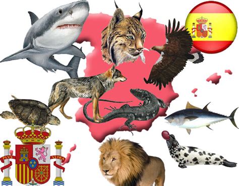 Animales extintos y en peligro de extinción en España
