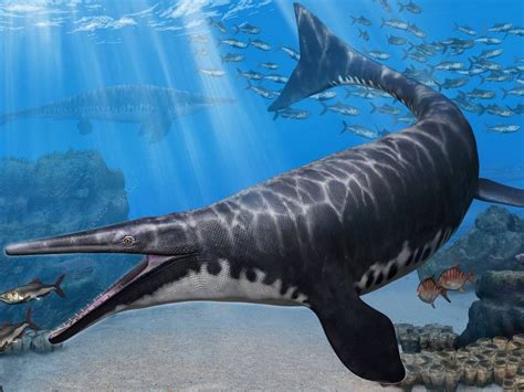 Animales: Hallan uno de los depredadores marinos prehistóricos más ...