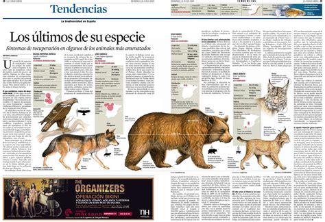 animales | Infografía a La Vanguardia | Animales ...
