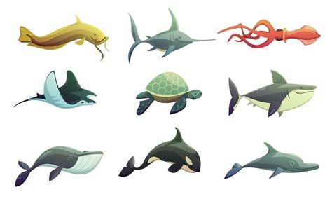 Animales marinos: características, tipos, ejemplos