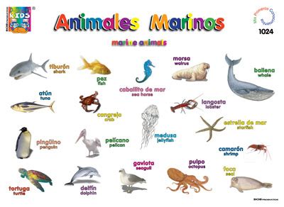 Animales marinos / Marine animals