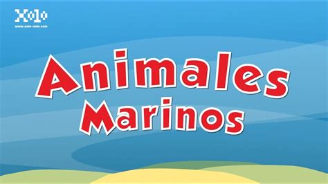 Animales marinos para niños   YouTube