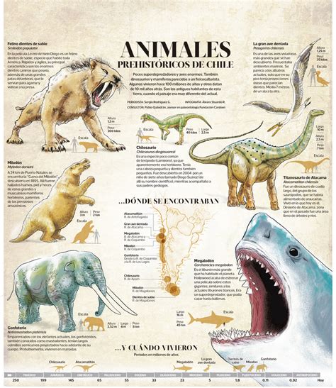 Animales prehistóricos de Chile   La Tercera