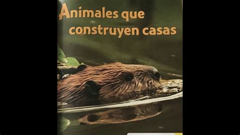 Animales que construyen casas Senderos 2nd Grade   Listen to Reading ...