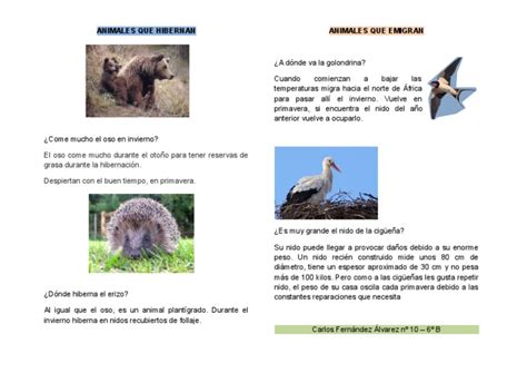 Animales Que Hibernan