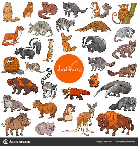 Animales salvajes mamíferos personajes gran conjunto vector, gráfico ...