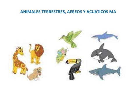 Animales terrestres aereos y acuaticos
