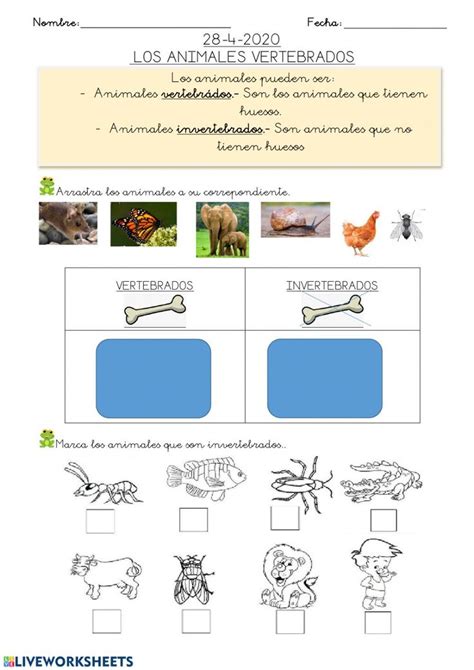 Animales vertebrados e invertebrados ficha interactiva y ...