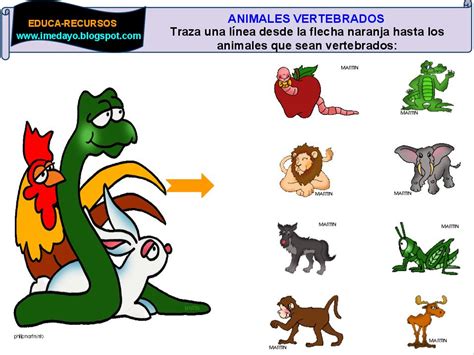 Animales vertebrados e invertebrados | Proyecto Educere