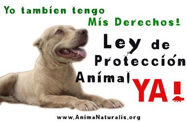ANIMALES Y SU PROTECCION: Ley de Protección Animal