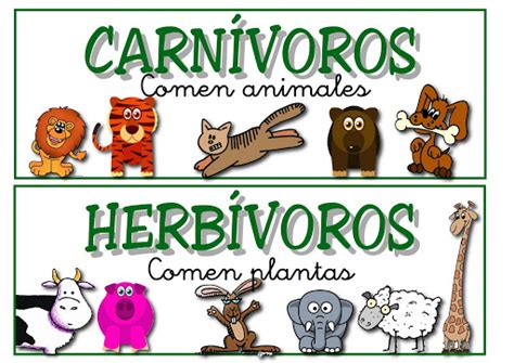 ANIMALS CARNÍVORS I HERBÍVORS