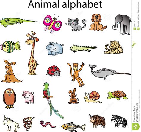 Animals From Animal Alphabet Royalty Free Stock ...