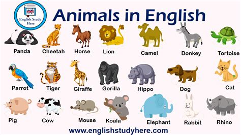 Animals in English   English Study Here